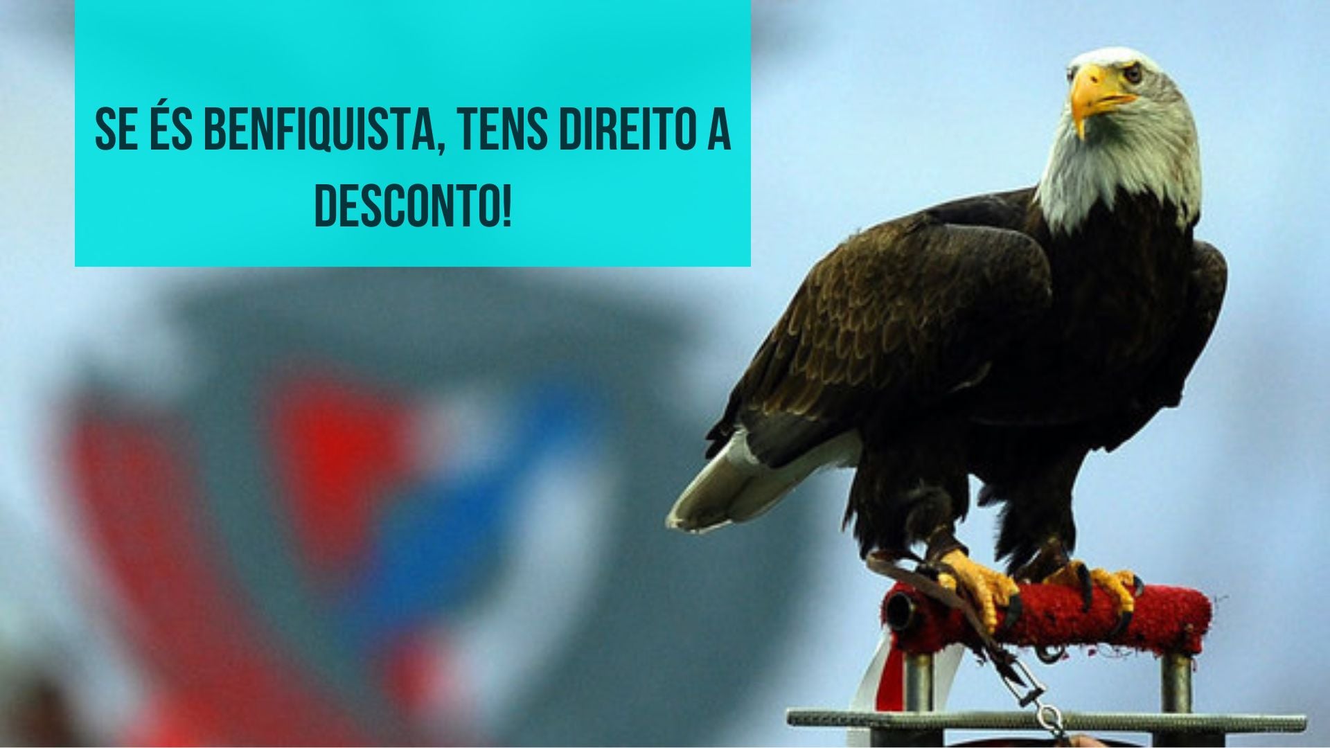 Uma Parceria Inovadora e cheia de Descontos rumo a um Futuro Inteligente para todos os Benfiquistas