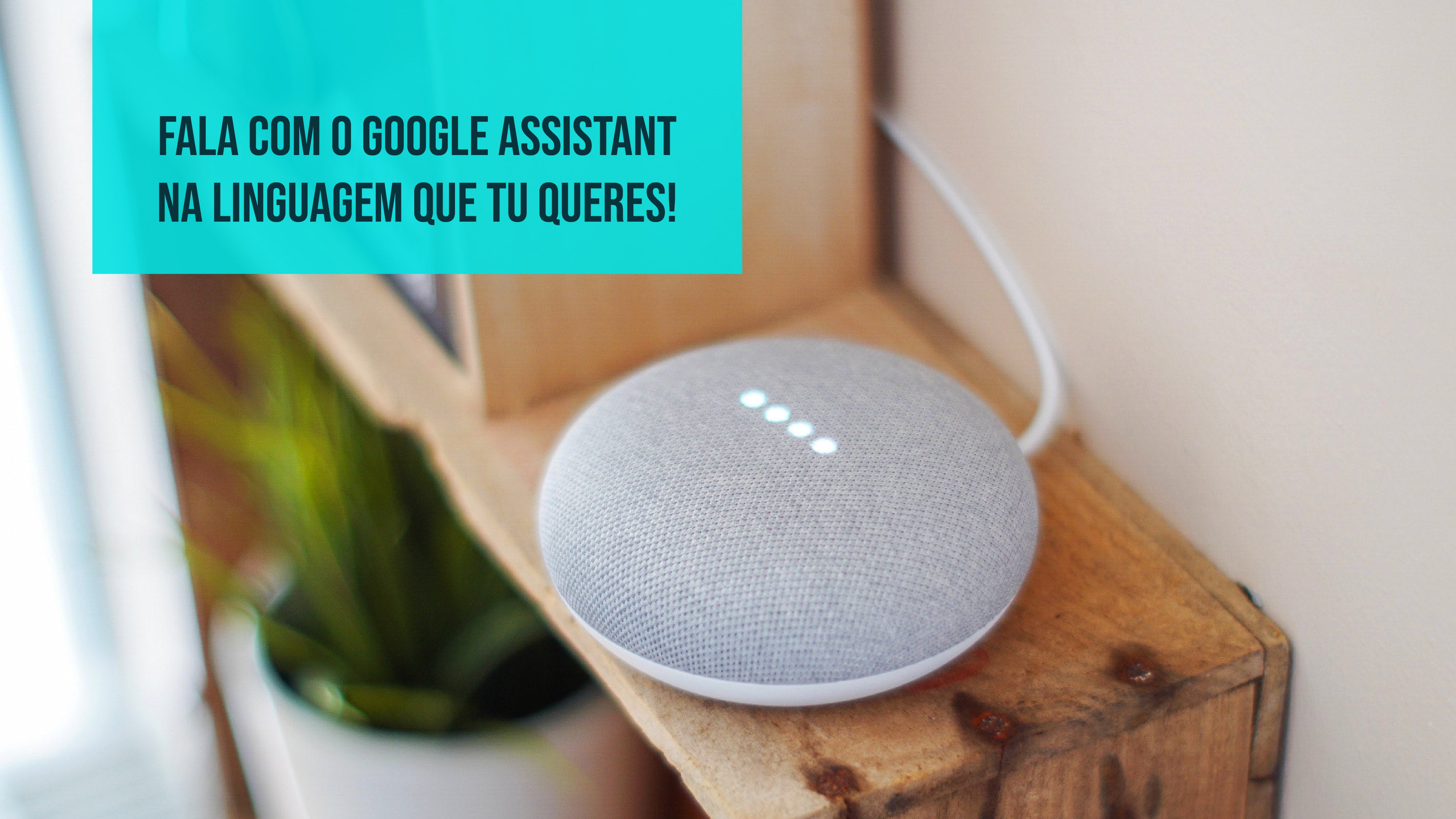 Tens um Google Assistant? Vê aqui como podes mudar o idioma