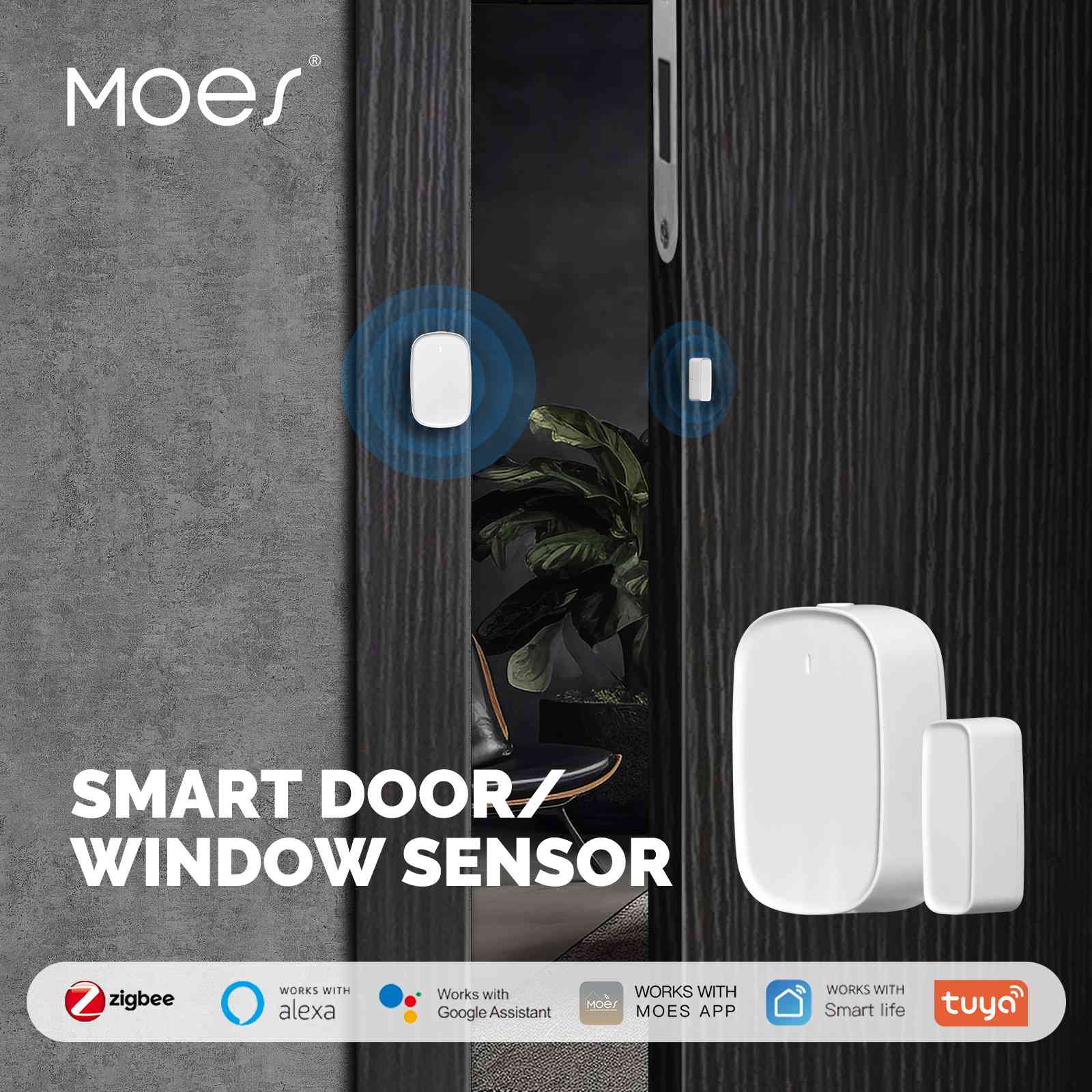 MOES ZSS-S01 Sensor de Contacto - Deteção porta e janela