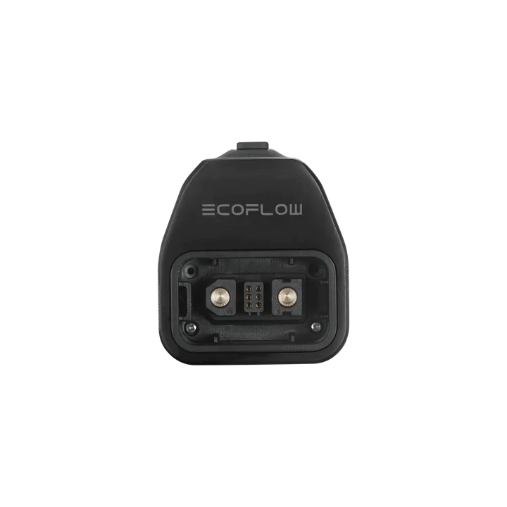 Adattatore Ecoflow Delta Pro per un generatore intelligente
