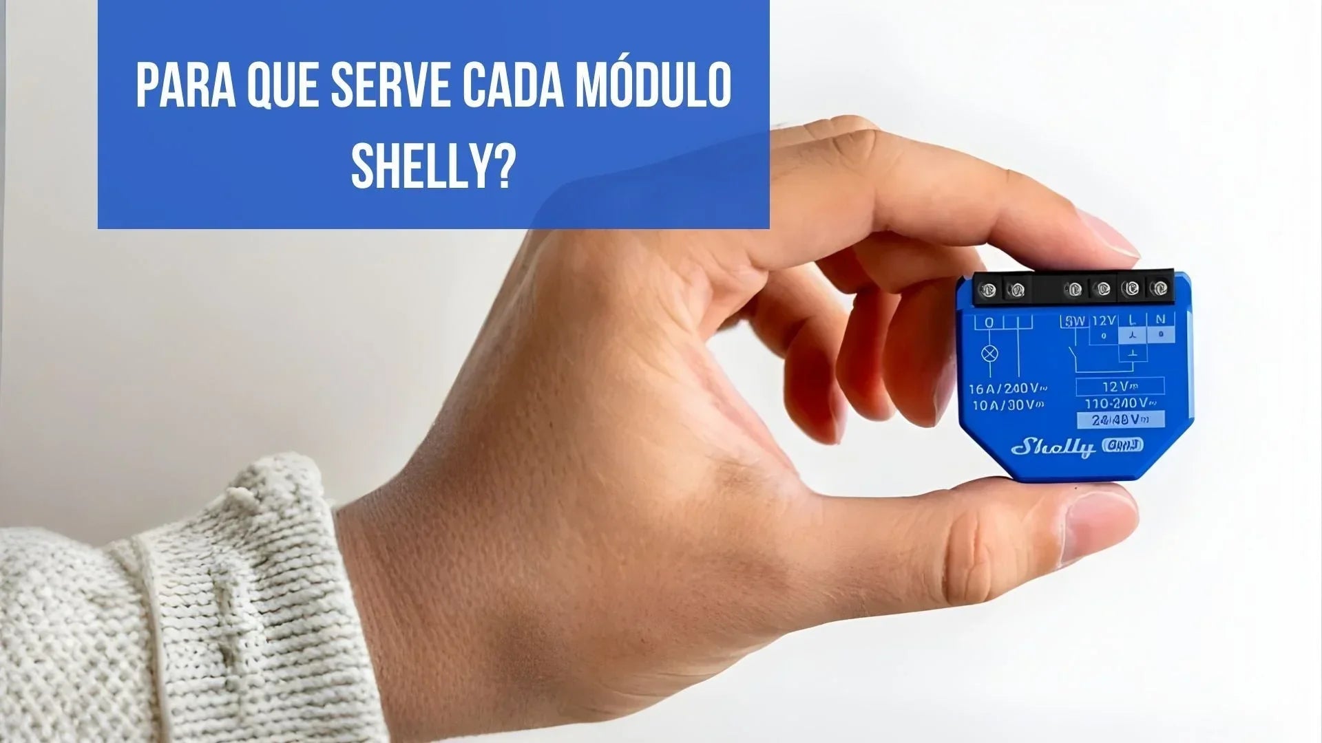 Para que serve cada módulo Shelly?