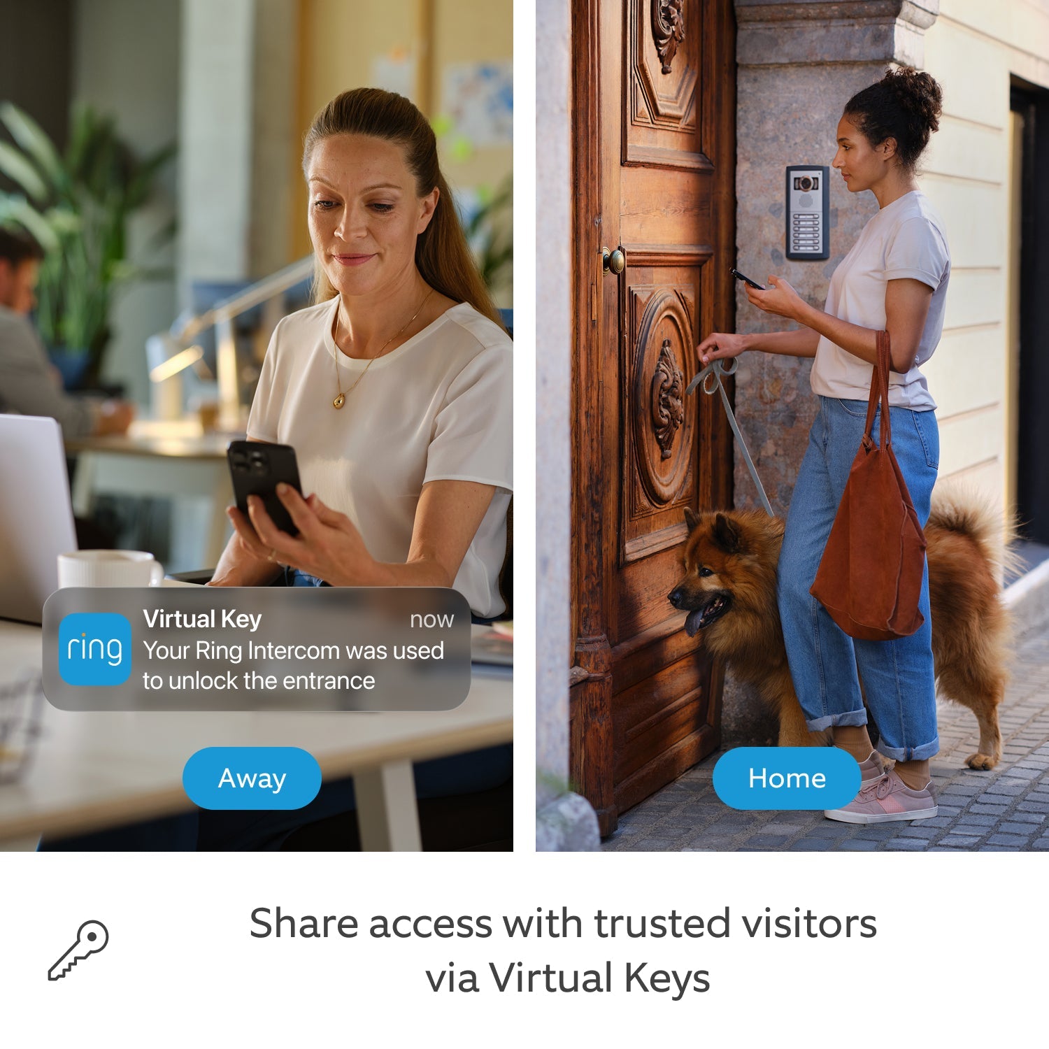 Ring Intercom Video - Funcionalidades