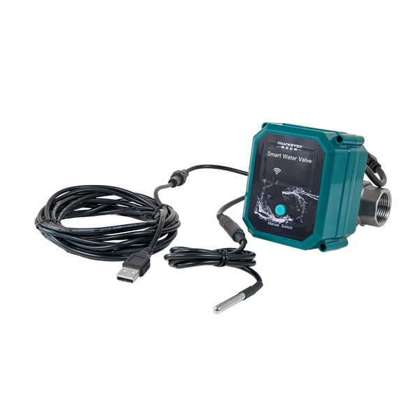 BELEY HTS558 – Sabbiatrice Professionale A Guscio Di Noce Per Pulizia Valvole Motore, 220V, Dimensioni 45x30x35 Cm